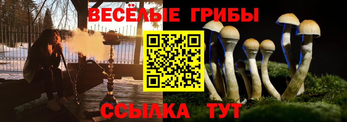 Псилоцибиновые грибы прущие грибы Скопин